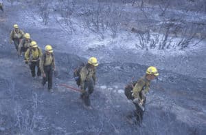 wildlife firefighters